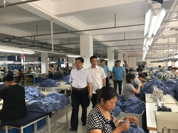 蔣金華副總裁一行調研中錦淮安鴻博廠
