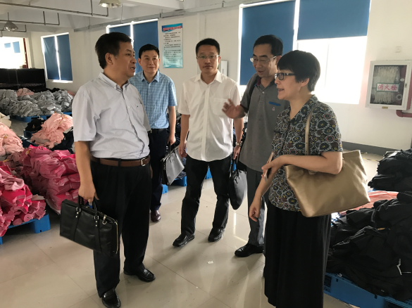 蔣金華副總裁一行調研中錦淮安鴻博廠