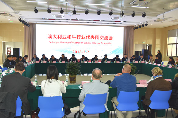 匯鴻冷鏈公司成功舉辦澳大利亞和牛項目招商推介會